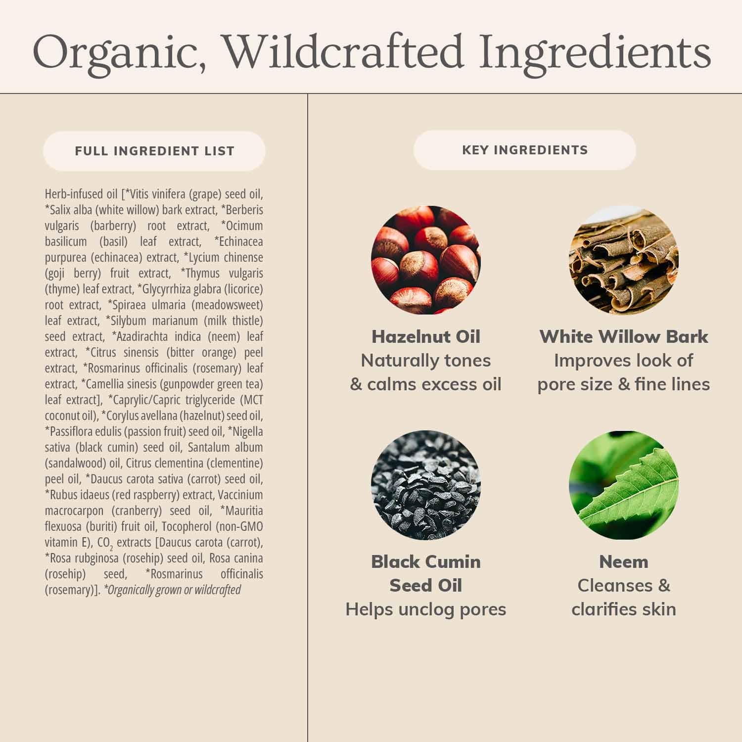 Skin Care Kaolin Micro Exfoliant